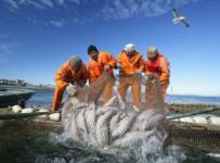 Полный крах: известная в Приморье рыбодобывающая компания стала банкротом