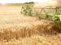 Болгарские производители зерна боятся банкротства
