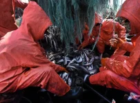 В собственность государства передали компании «крабовых королей»