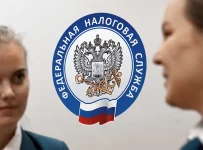 Федеральная налоговая служба (ФНС)